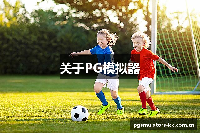 关于PG模拟器